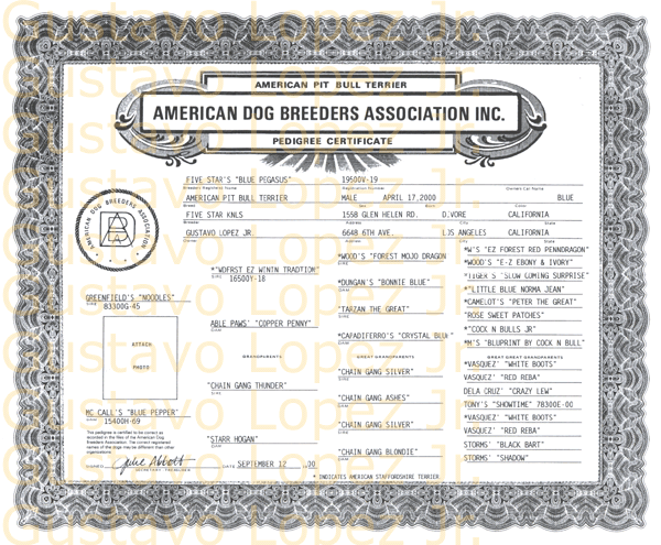 adba pedigree